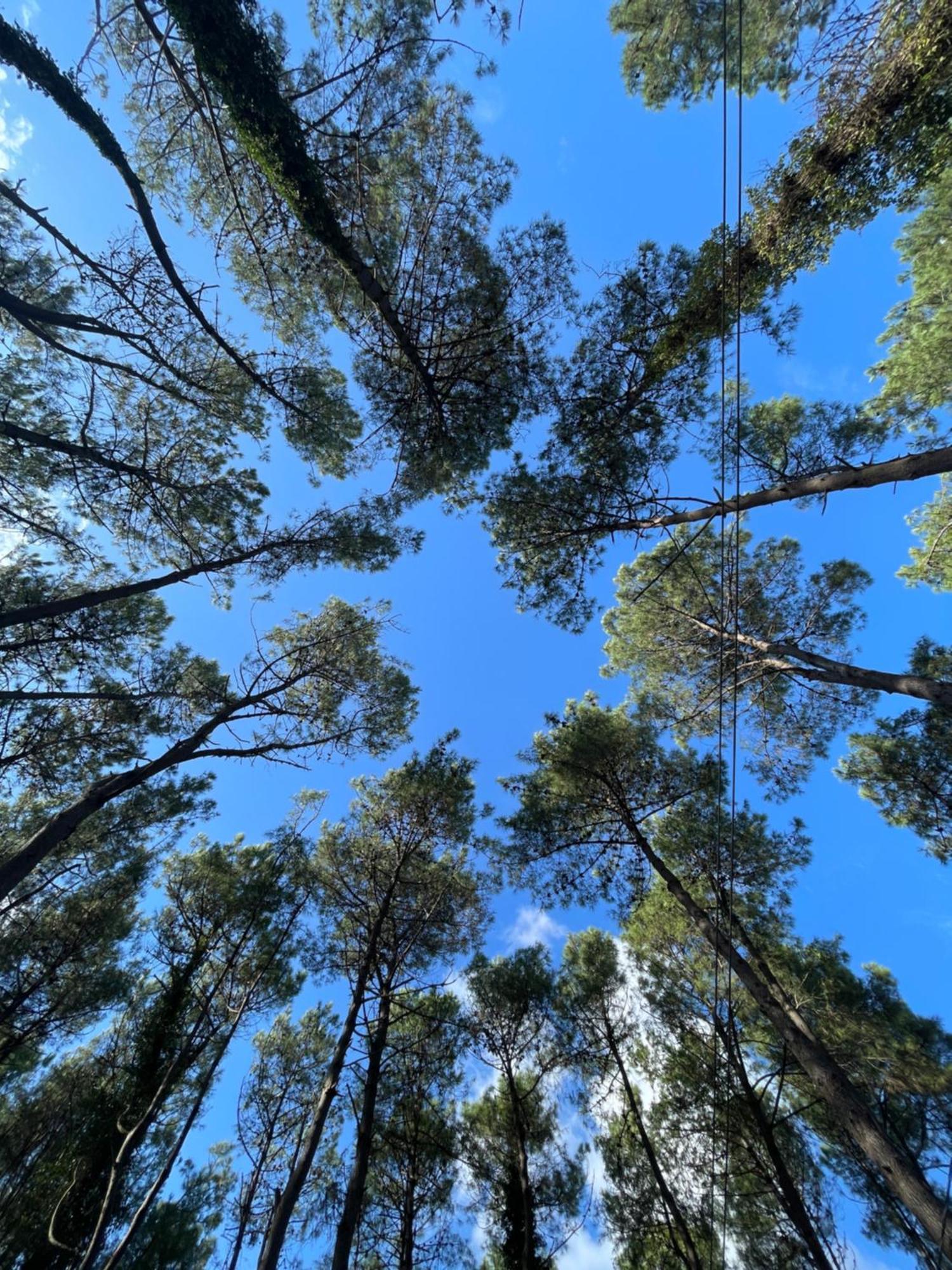 Kaprovani Villa Shekhvetili Esterno foto