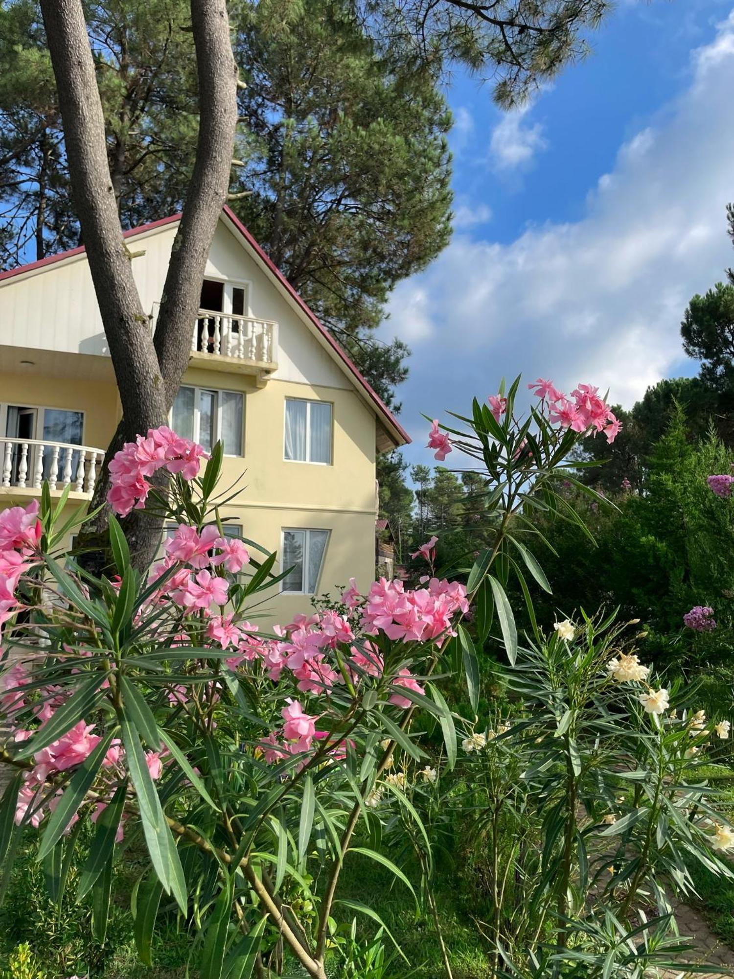 Kaprovani Villa Shekhvetili Esterno foto