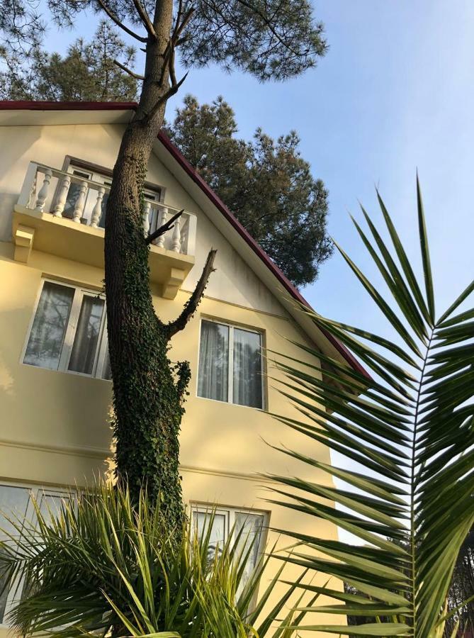 Kaprovani Villa Shekhvetili Esterno foto